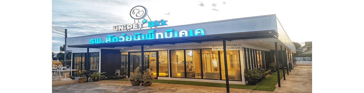 slide company profile