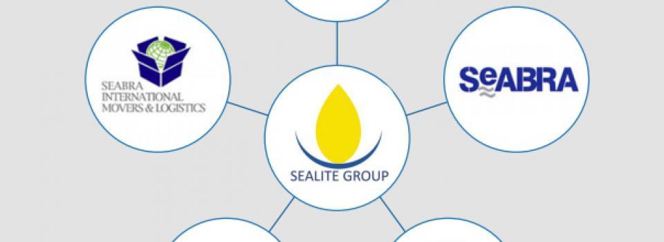 slide company profile