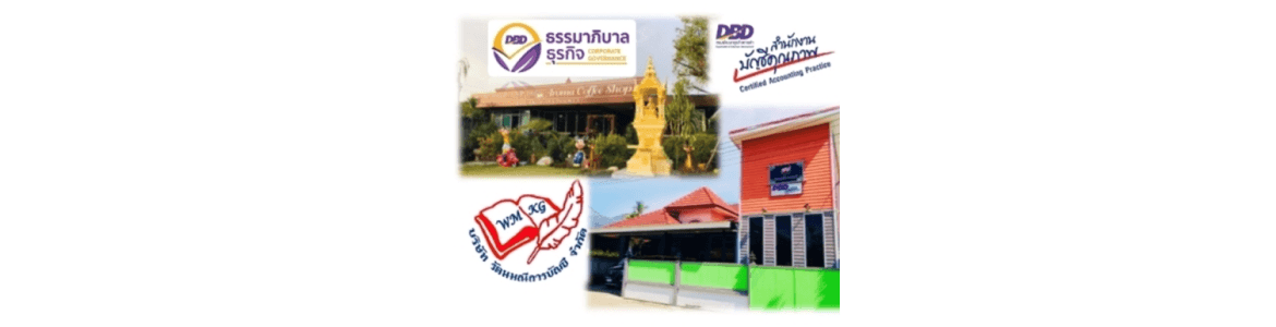 slide company profile