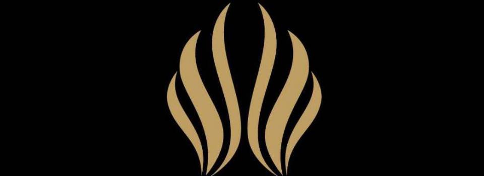 slide company profile