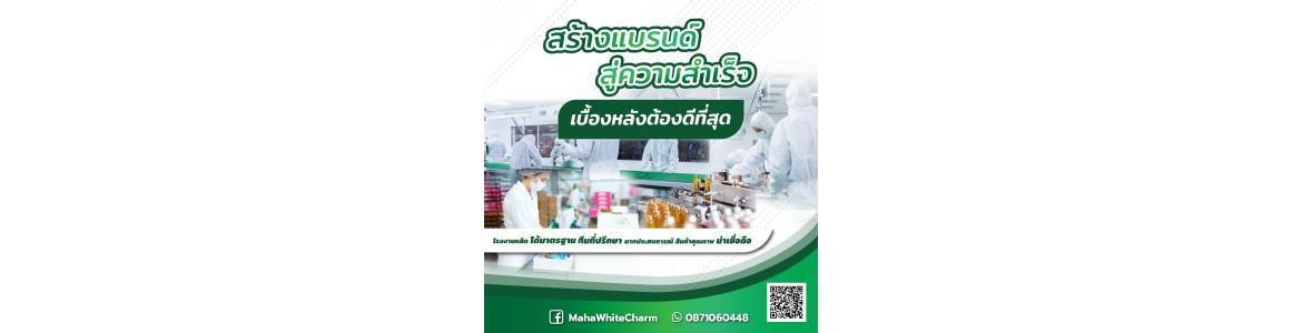 slide company profile