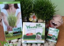 product-2