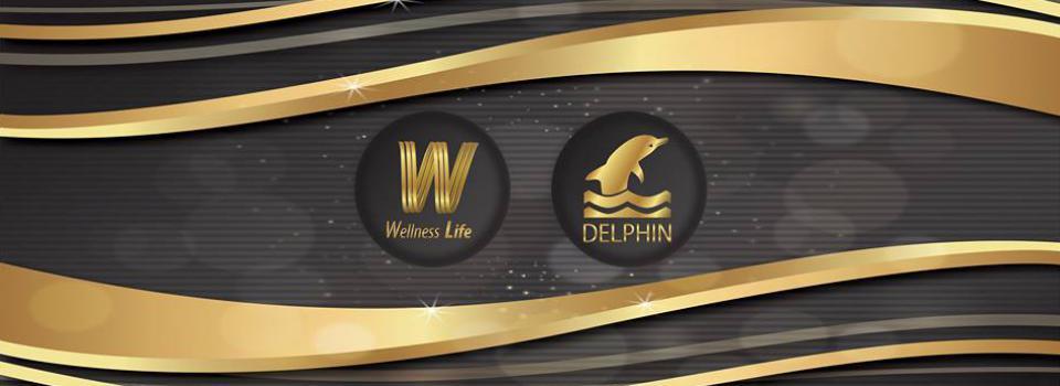 slide company profile