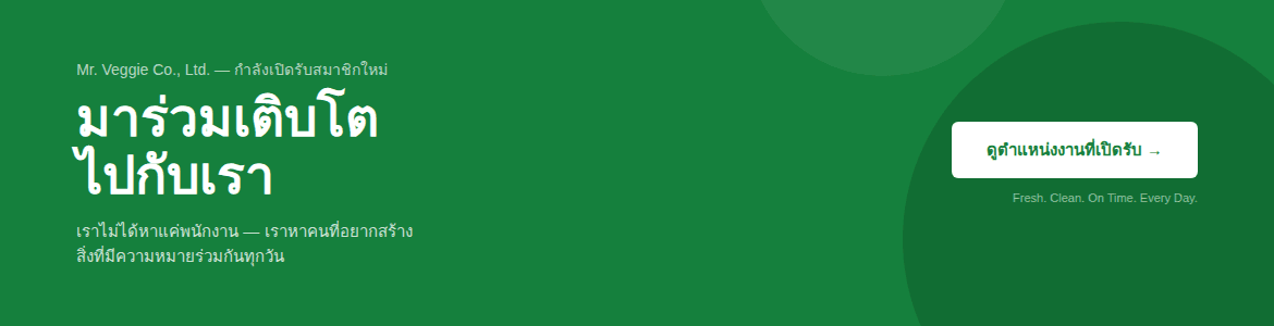 slide company profile