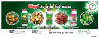product-2