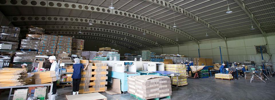 slide company profile