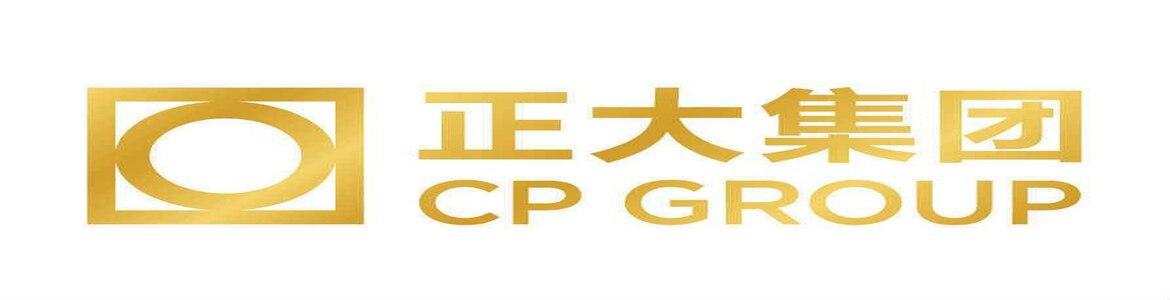 slide company profile