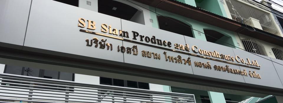 slide company profile