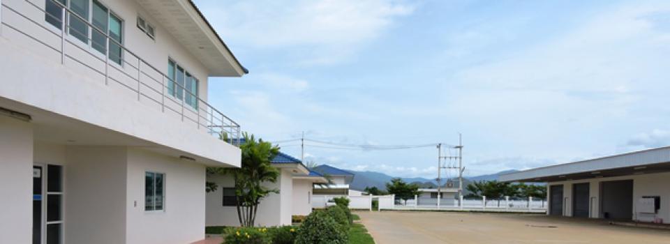slide company profile