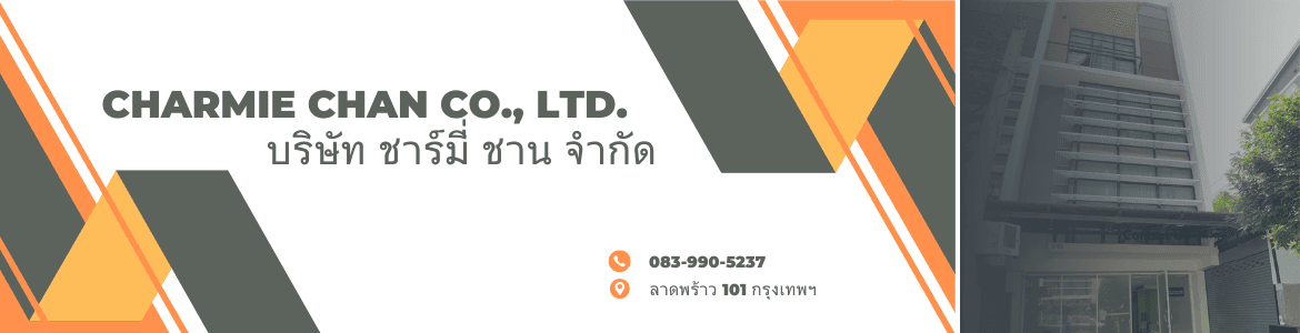 slide company profile