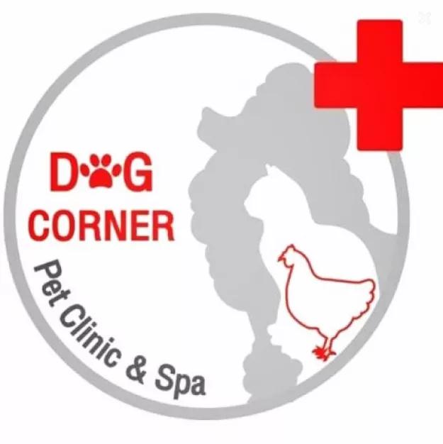 DC petclinic