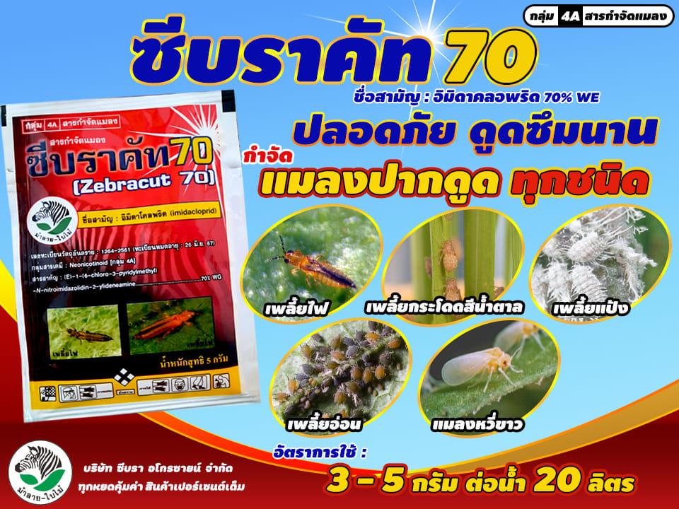 product-1