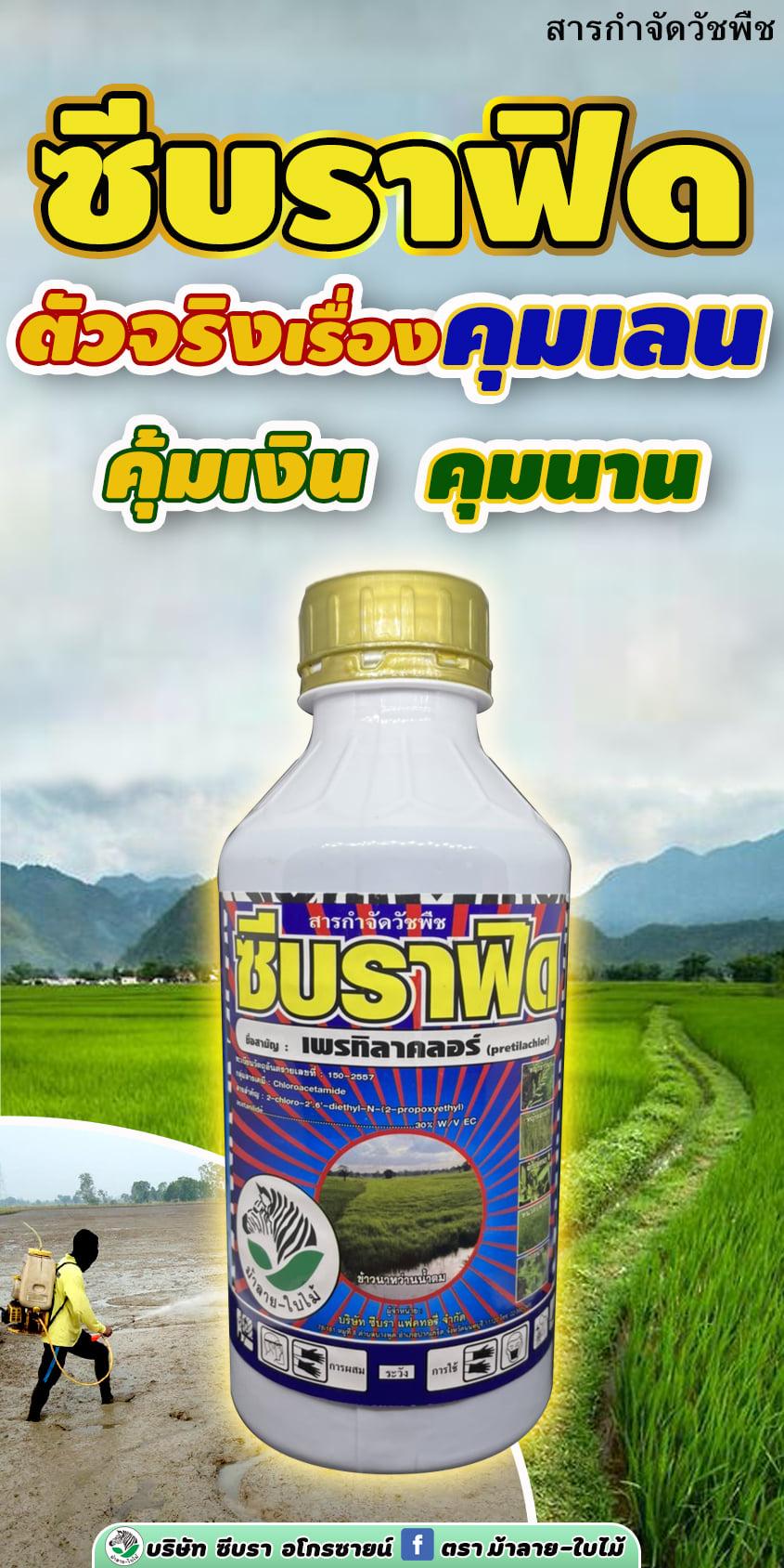 product-2