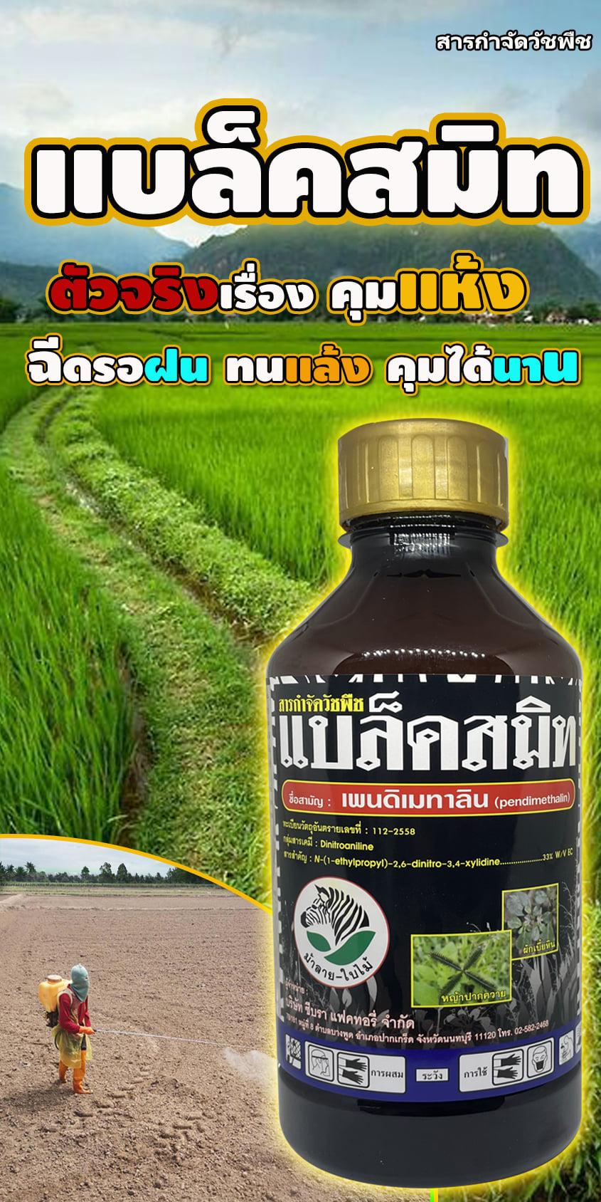 product-3