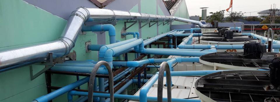 slide company profile