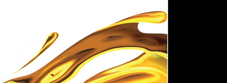 slide company profile