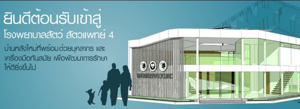 slide company profile