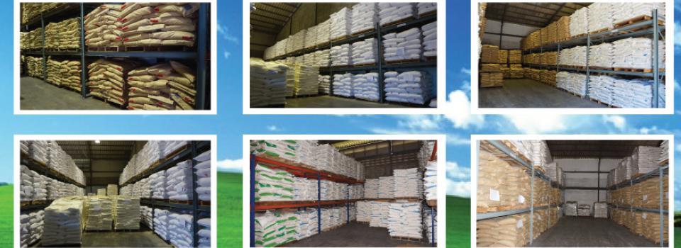 slide company profile