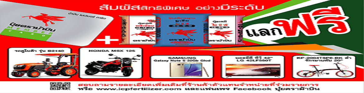 slide company profile
