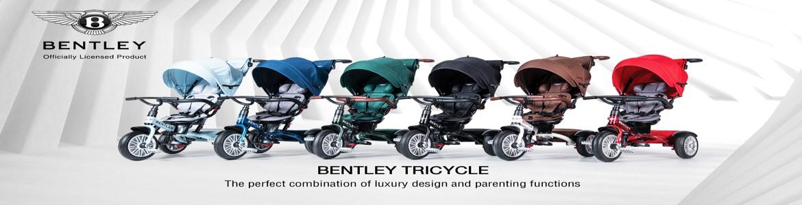 slide company profile