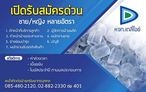 slide company profile