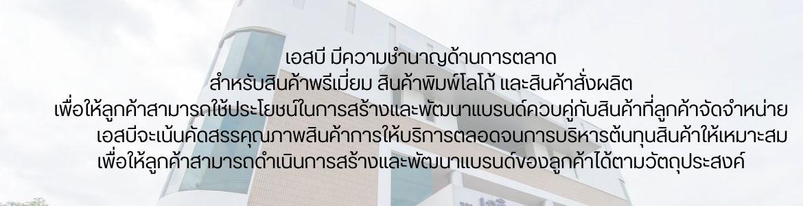 slide company profile