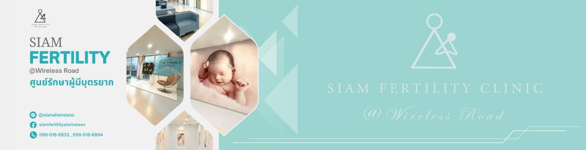 slide company profile