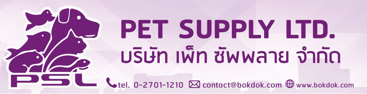 slide company profile