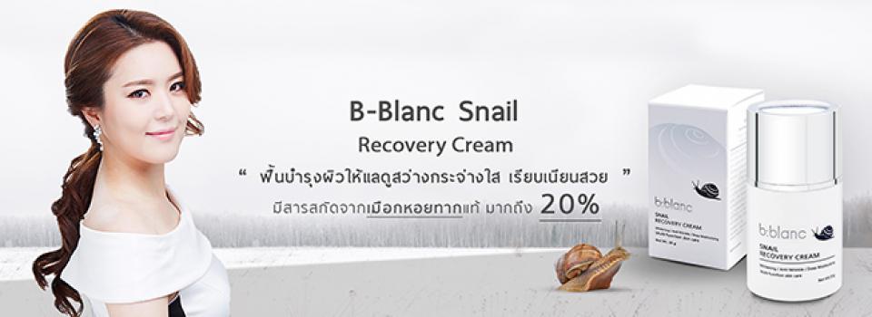 slide company profile