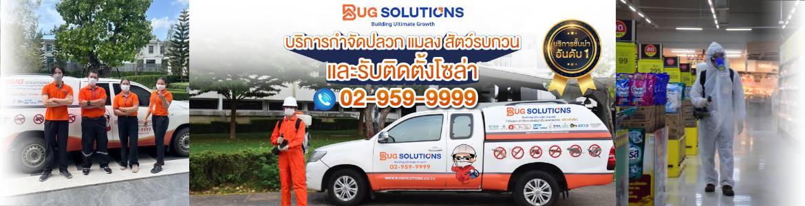 slide company profile
