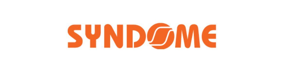 slide company profile