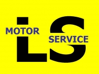 LS Motor Service
