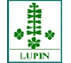 Lupin Chemical (Thailand) Ltd.