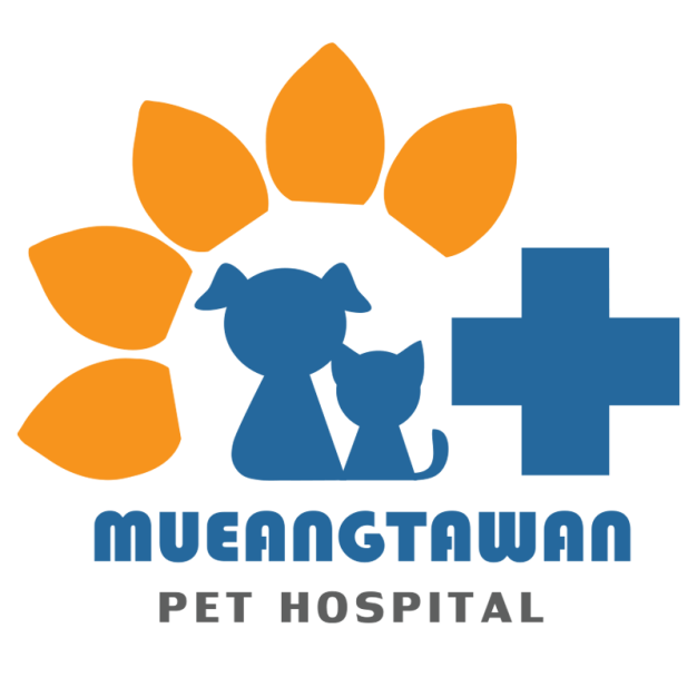 บริษัท เมืองตะวัน เพ็ท เฮลธ์ จำกัด