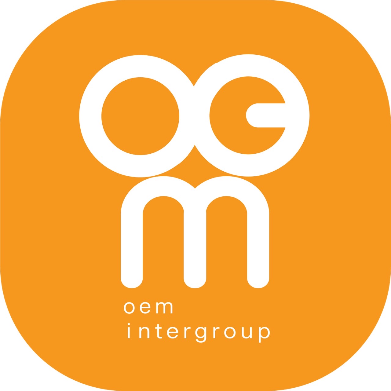 โออีเอ็มอินเตอร์กรุ๊ป จำกัด