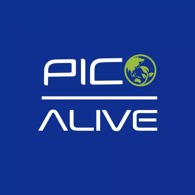 PICO ALIVE PICO ALIVE