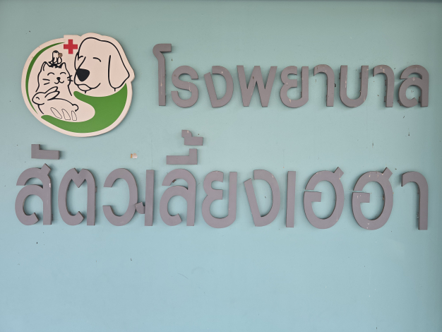 หางาน,สมัครงาน,งาน Heyha Animal Clinic