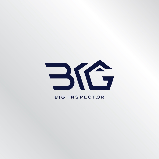 บริษัท บิ๊ก อินสเปคเตอร์ จำกัด