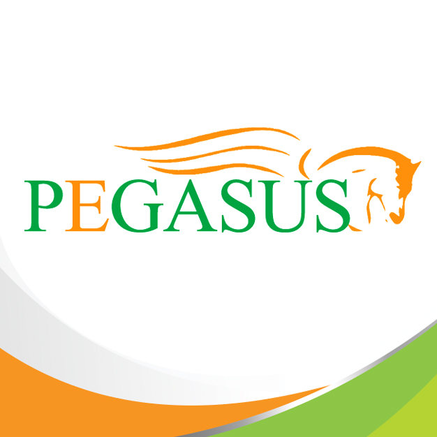 หางาน,สมัครงาน,งาน พีกาซัส อินเตอร์ โลจิสติคส์