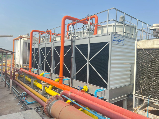 เบอเก็ด เอ็นเตอร์ไพร์ซ จำกัด