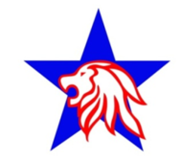 บริษัท ไลอ้อน สตาร์ ทราเวล แอนด์ ซัน จำกัด