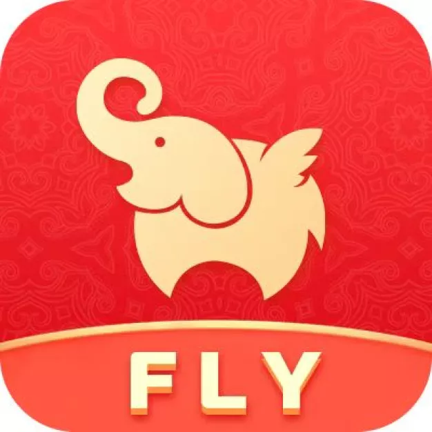 The Fly Holding (Thailand) Co., Ltd
