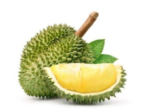 หางาน,สมัครงาน,งาน เอ โฟร์ ฟรุตซ์ เทรดดิ้ง