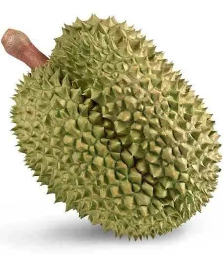 หางาน,สมัครงาน,งาน เอ โฟร์ ฟรุตซ์ เทรดดิ้ง