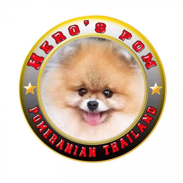 หางาน,สมัครงาน,งาน Hero's pom