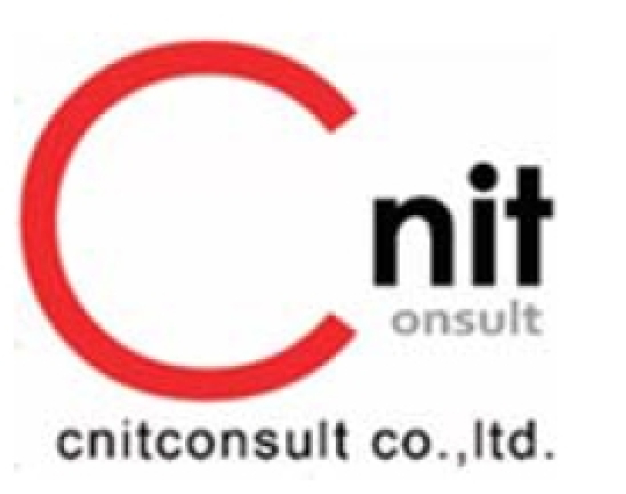 cnitconsult