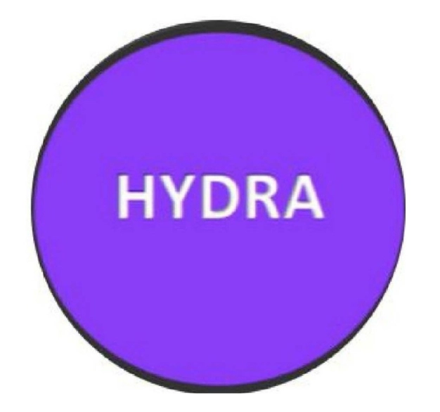 บริษัท ไฮดรา (ประเทศไทย) จำกัด บริษัท ไฮดรา (ประเทศไทย) จำกัด