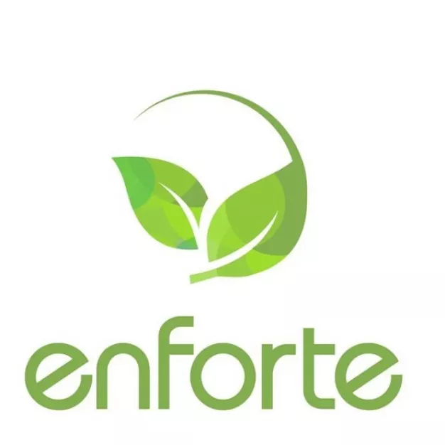 Enforte Co., Ltd. Enforte Co., Ltd.