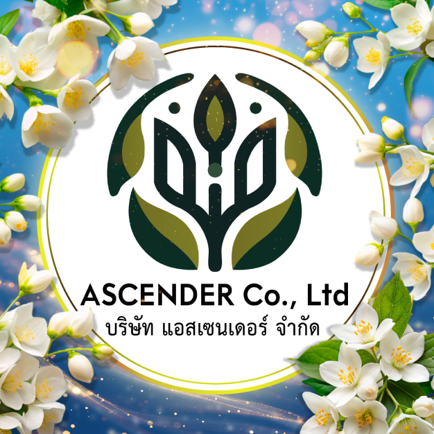 หางาน,สมัครงาน,งาน แอสเซนเดอร์